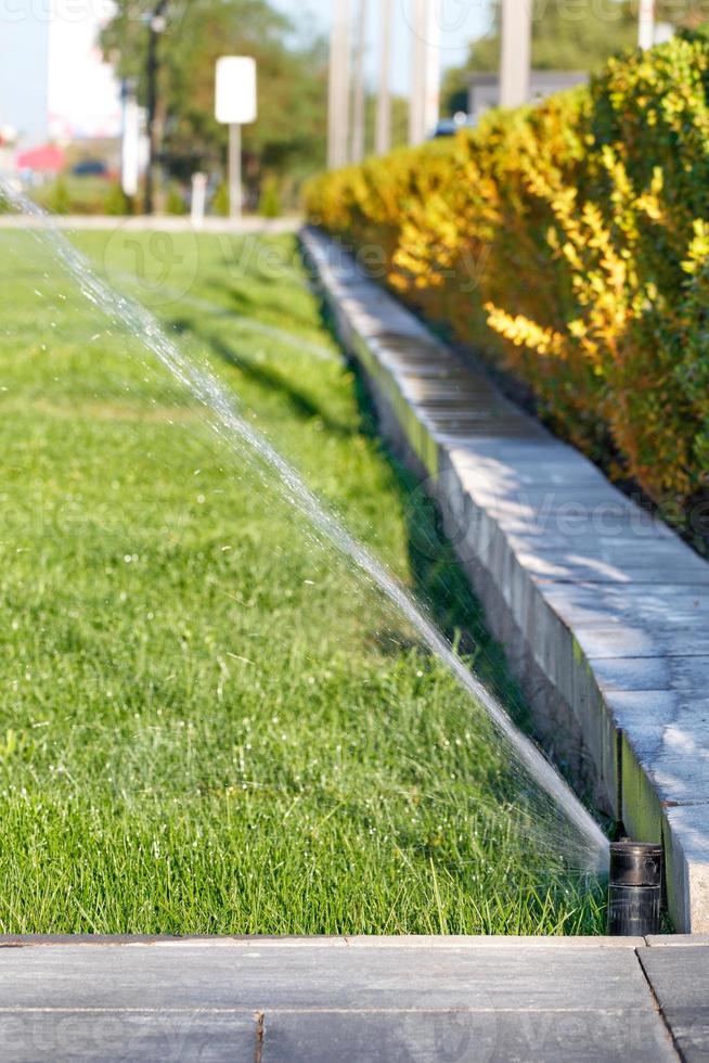 sistema automático de irrigação por aspersão para gramado verde em operação. foto