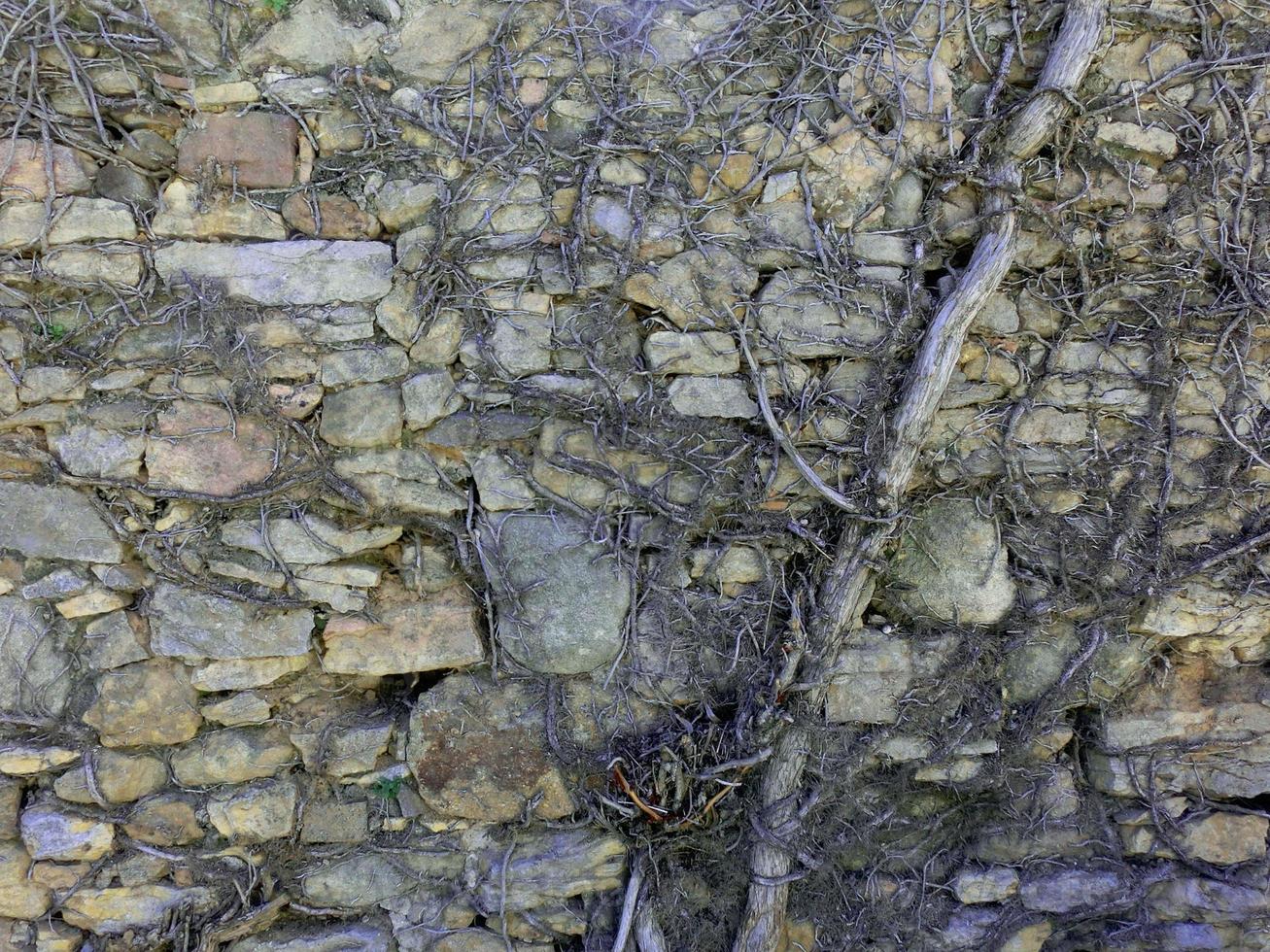 parede de pedra perfeitamente organizada, textura cinza e preto e branco da textura de fundo da parede de pedra foto