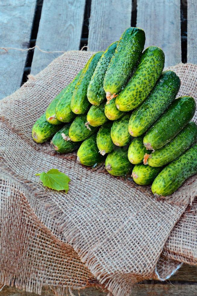 pepino verde fruta padrão fruta natural com traçado de recorte na madeira. foto