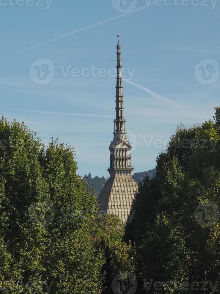 toupeira antonelliana em turin foto