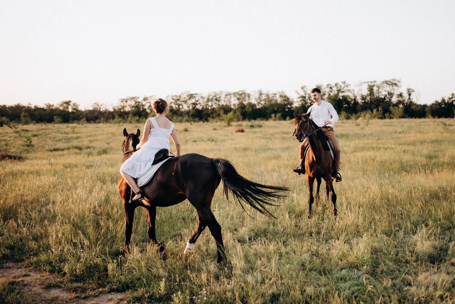 uma garota com um vestido de verão branco e um cara com uma camisa branca em uma caminhada com cavalos marrons foto