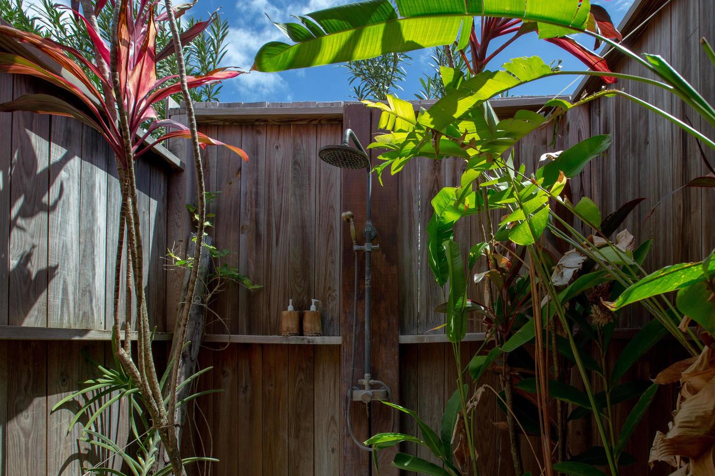 chuveiro externo com plantas foto