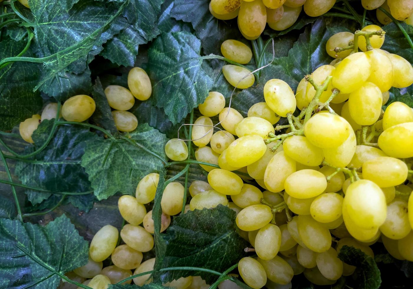 doce e saudável fruta uva amarela foto