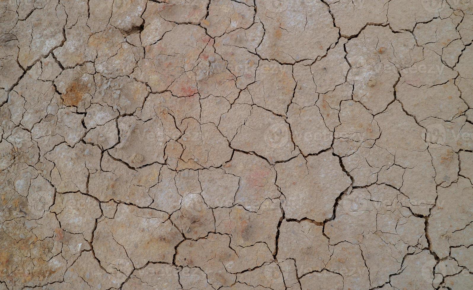 solo rachado devido à seca. a estação seca faz com que o solo seque e rache foto