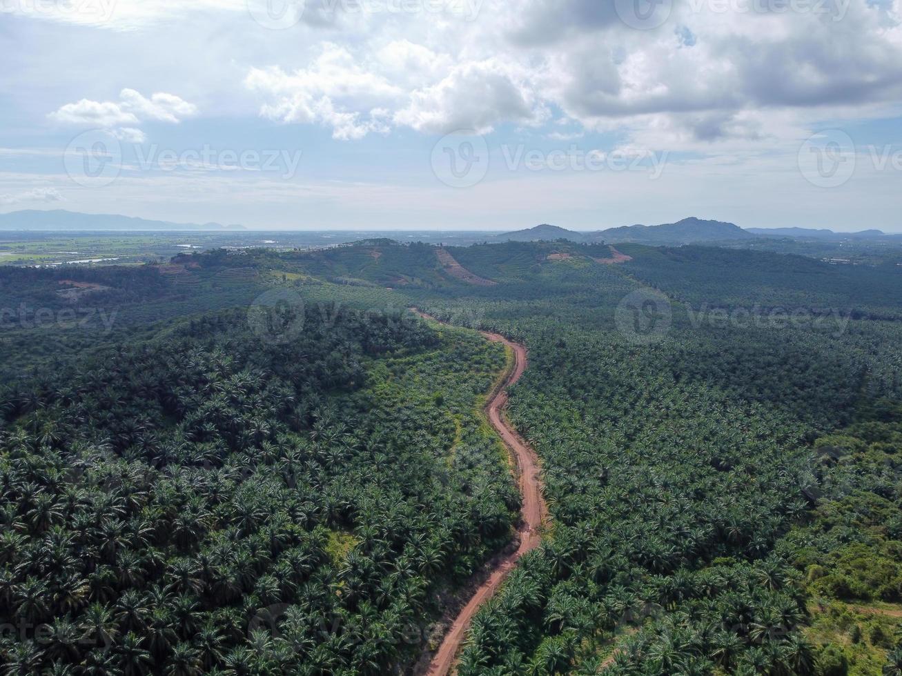 vista aérea caminho de solo vermelho sujeira rural foto