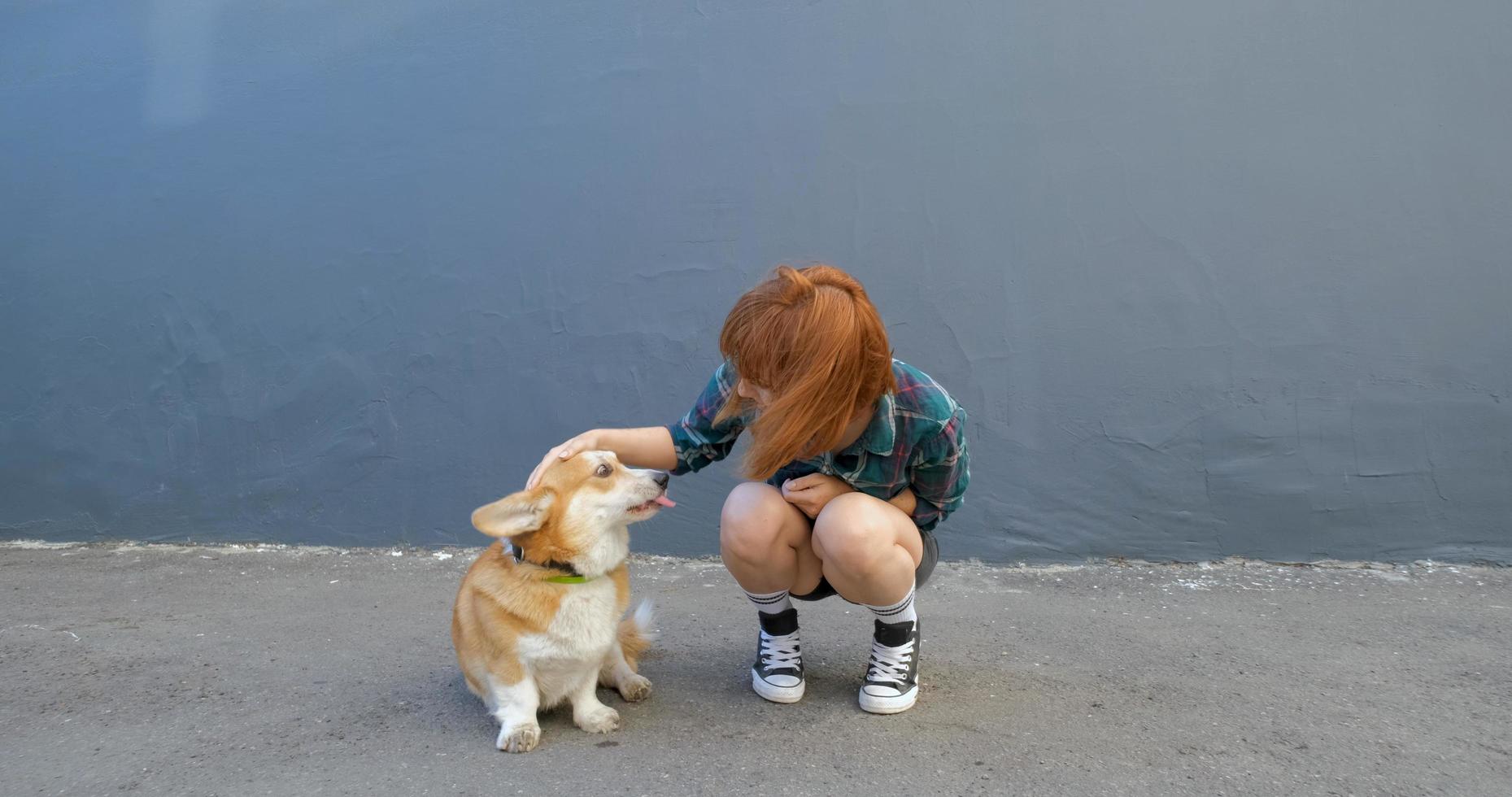 jovem mulher com cachorro corgi foto