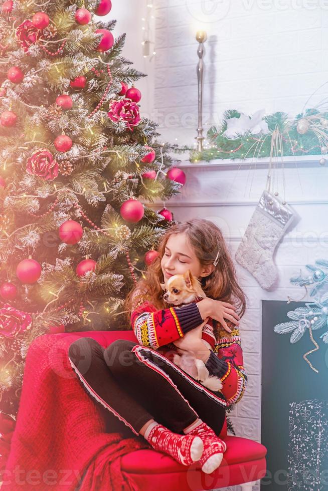 uma garota com um cachorro chihuahua em um abraço perto da árvore de Natal. humor de natal e animal de estimação. foto