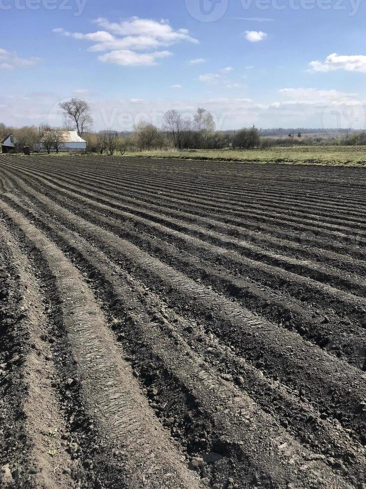 campo arado para batata em solo marrom em campo aberto foto