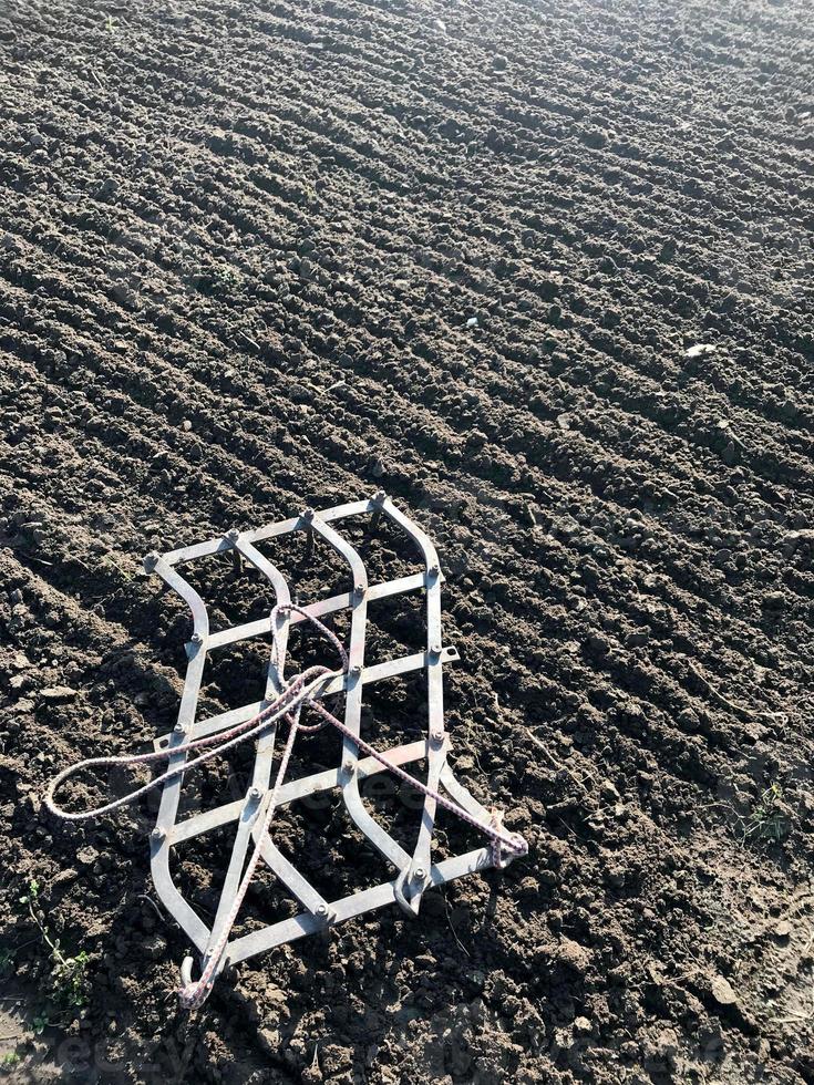 campo arado para batata em solo marrom em campo aberto foto