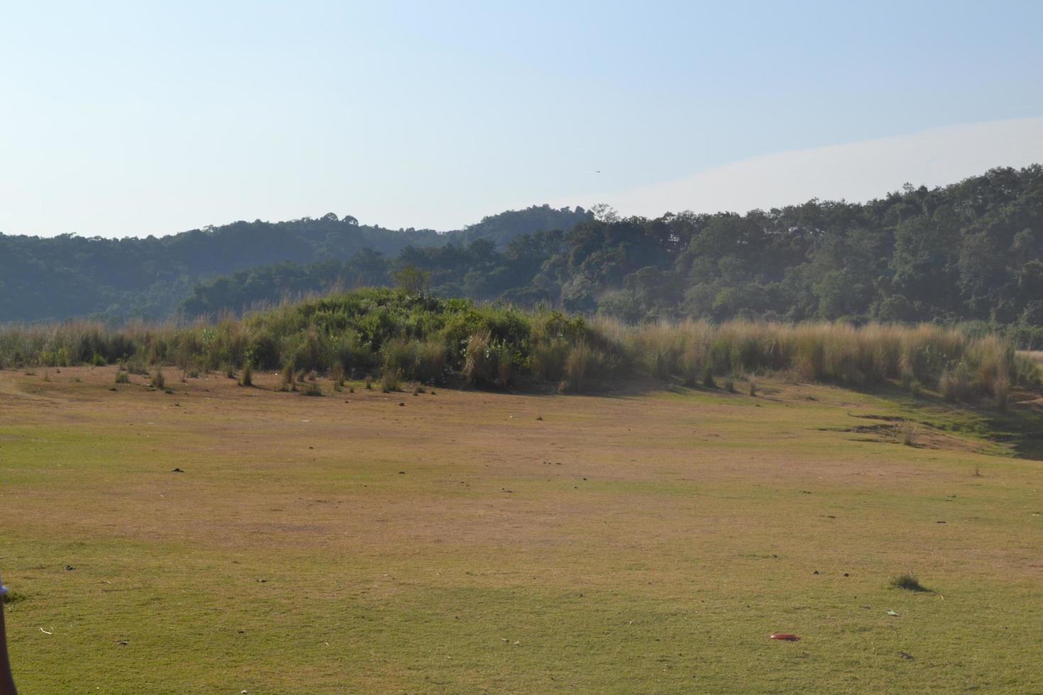 campo de grama de primavera e céu perfeito foto