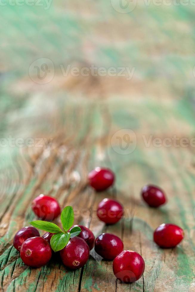 frutas frescas de cranberries em fundo de madeira verde velho e luz do dia foto