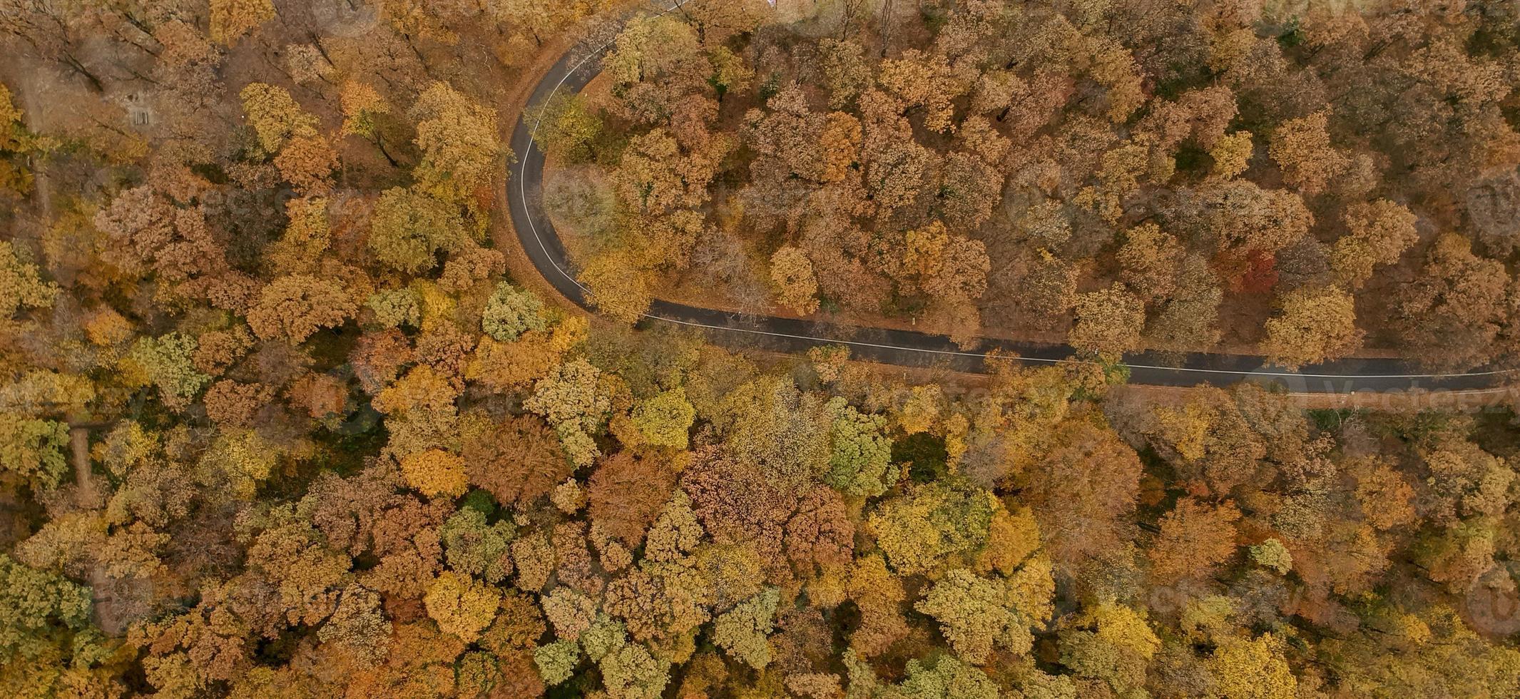 vista aérea para a estrada na floresta de outono foto