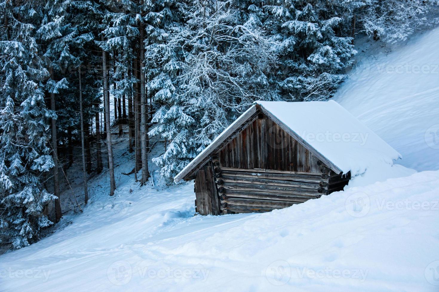 chalé de madeira coberto de neve em floresta alpina foto
