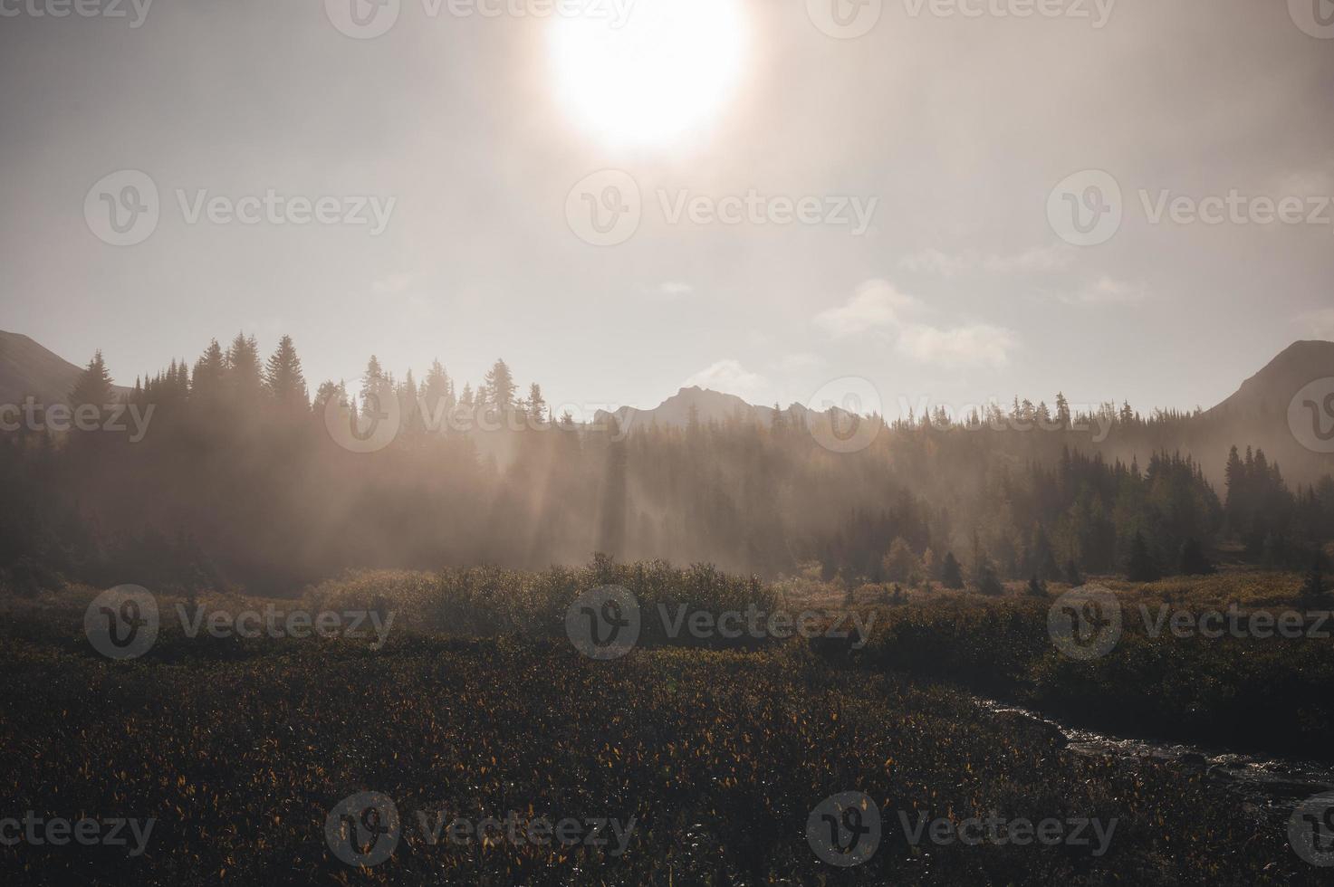 paisagem de montanhas rochosas com neblina na floresta de outono pela manhã no parque provincial de assiniboine foto