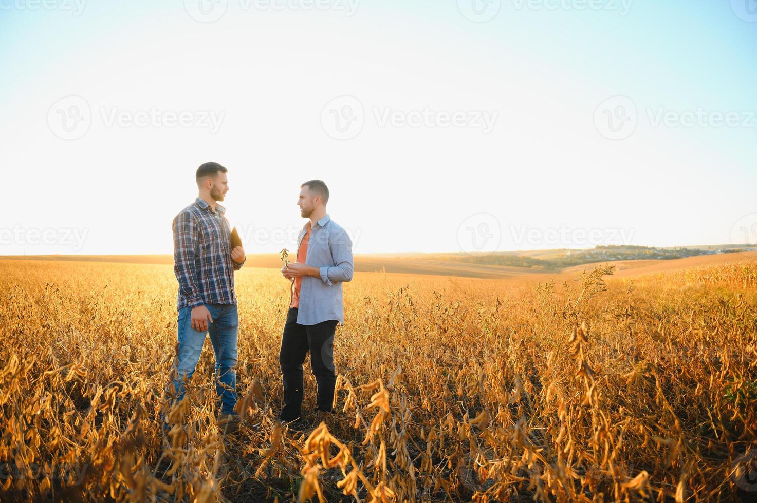 dois agricultores em pé dentro uma campo examinando soja colheita antes colheita. foto