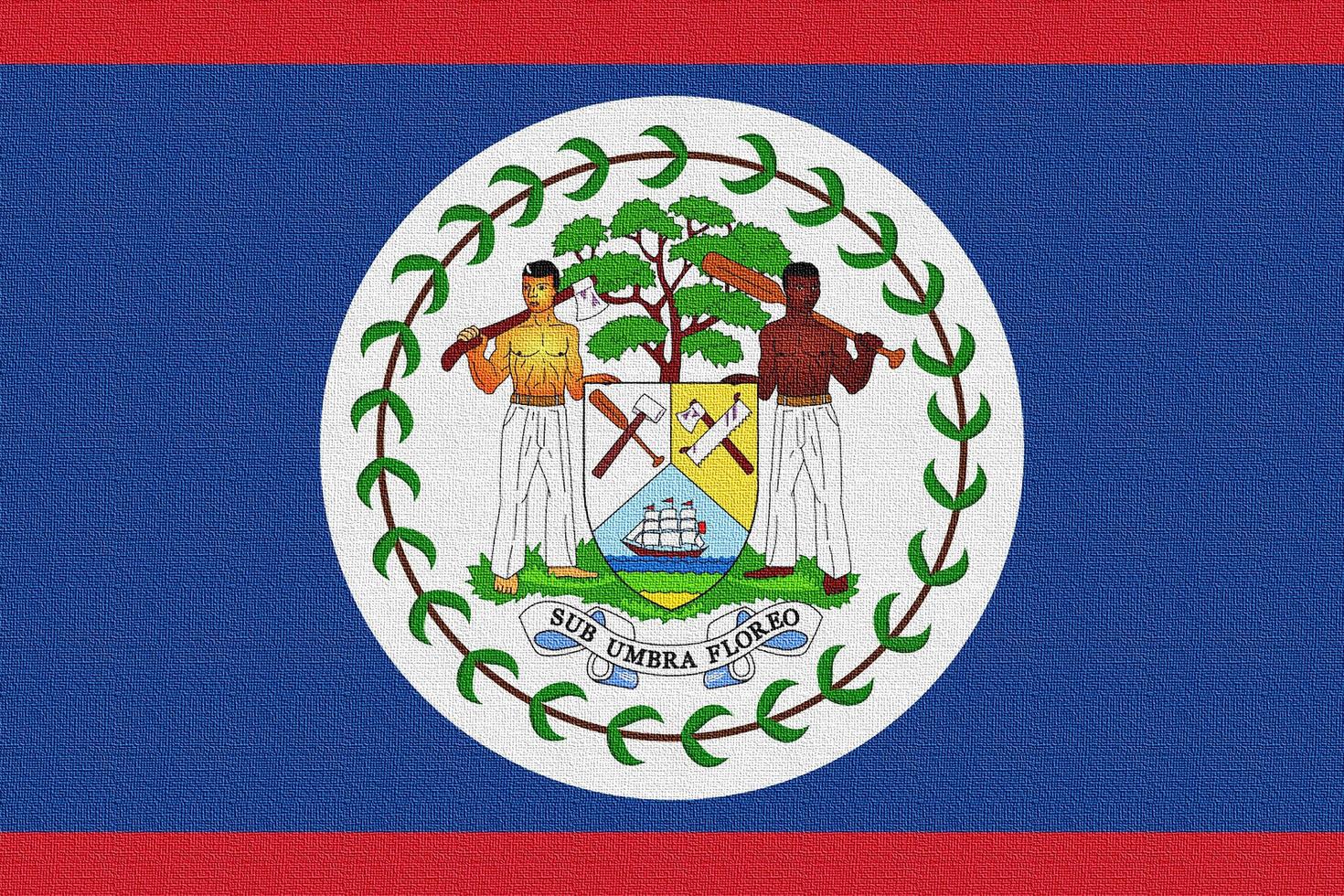 ilustração da bandeira nacional de belize foto