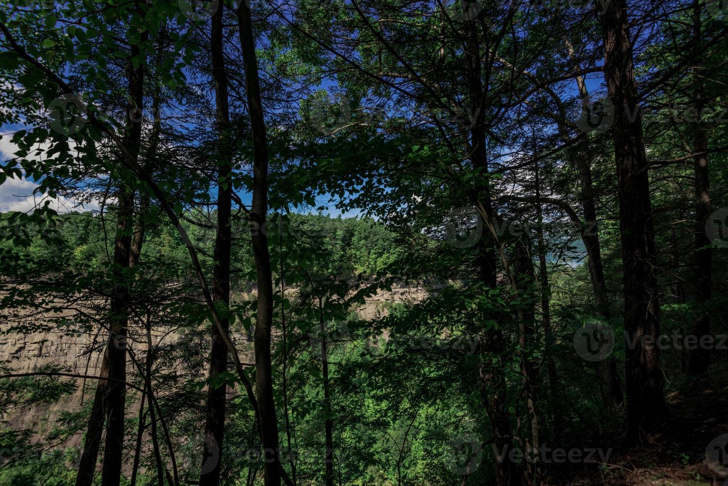 trilha do desfiladeiro de taughannock Falls foto