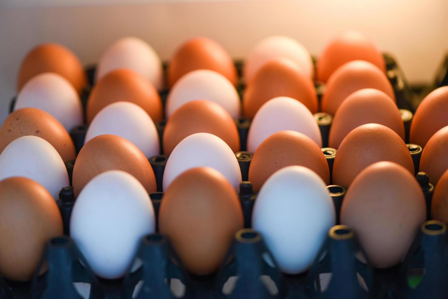 ovos na geladeira para armazenamento na cozinha em casa ovos de galinha frescos e ovos de pato na caixa foto