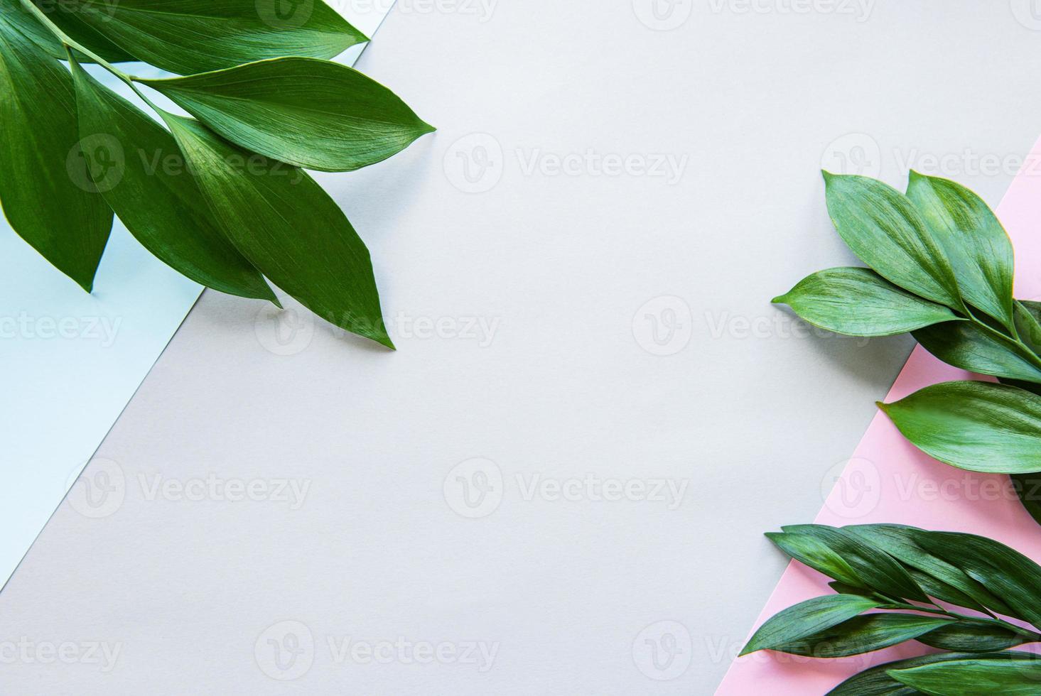 folhas verdes em um fundo pastel foto