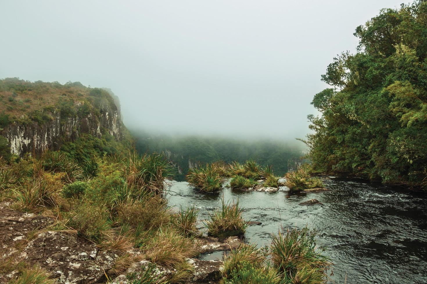 água do riacho em uma floresta que corre em direção à borda da cachoeira no parque nacional serra geral, perto de cambara do sul. uma pequena cidade do sul do brasil com incríveis atrativos turísticos naturais. foto