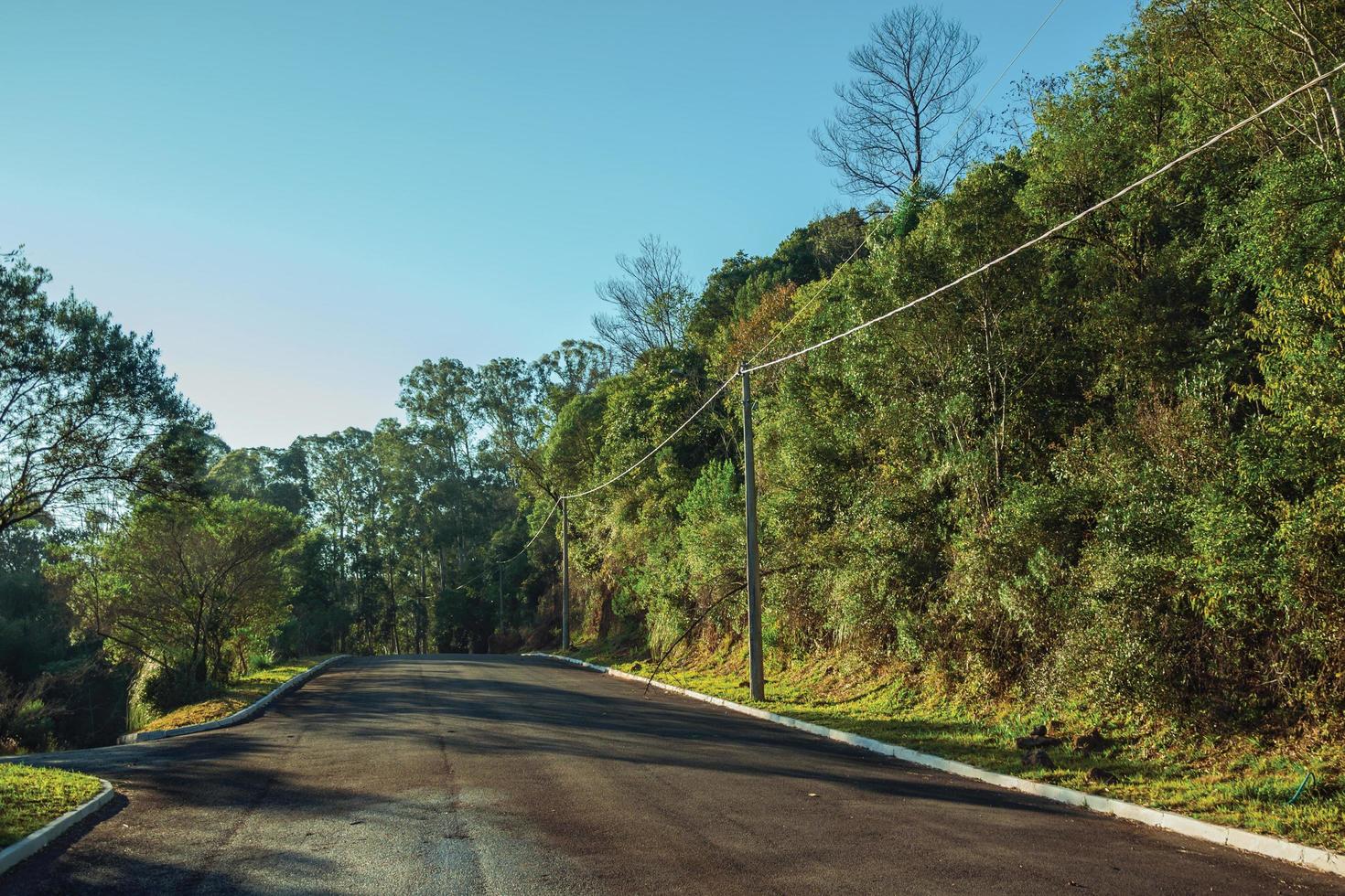 rua pavimentada vazia com postes de alta tensão entre árvores exuberantes perto de gramado. uma linda cidade de influência europeia no sul do brasil, muito procurada por turistas. foto