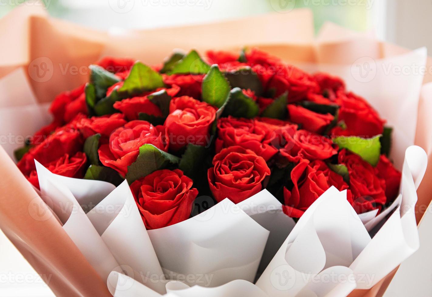 lindas rosas vermelhas foto