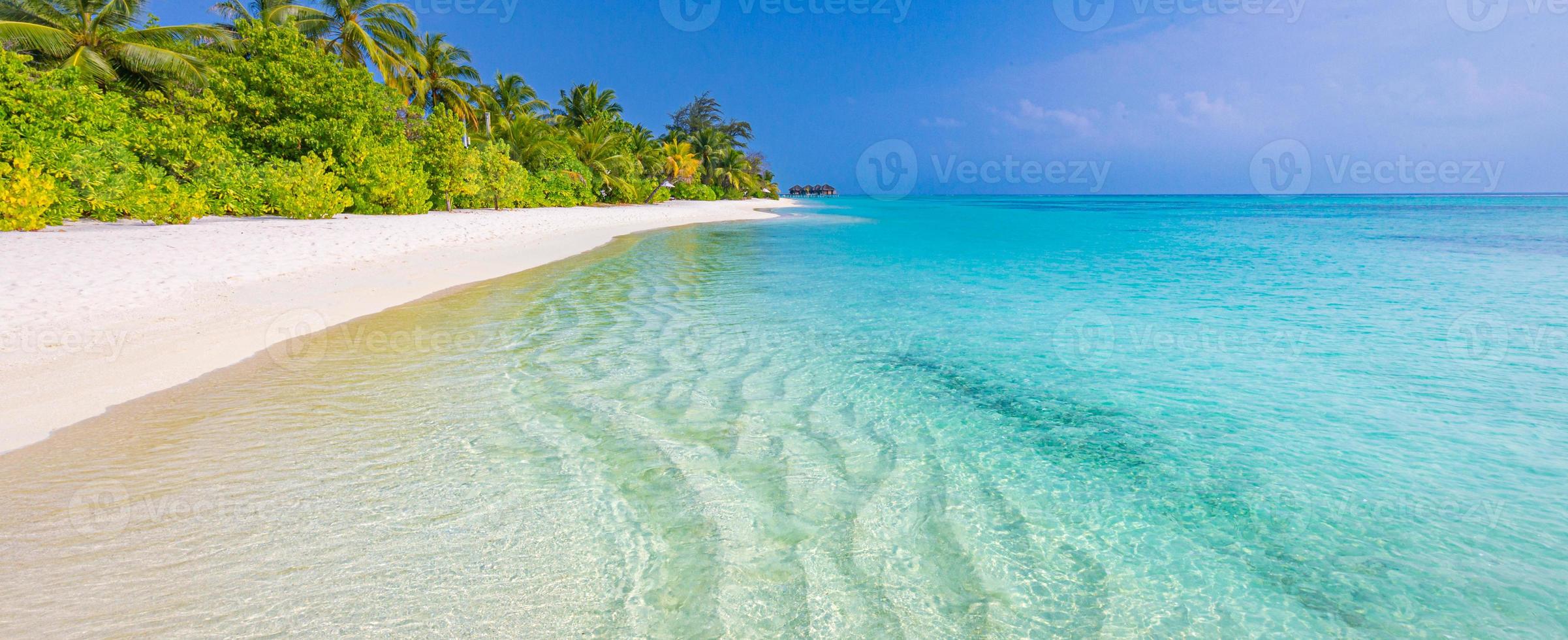 papel de parede de fundo de paisagem de praia tropical exótica ensolarada. projetar o conceito de férias de férias de verão. destino de viagem de luxo, natureza idílica com belas folhas de palmeira, ambiente natural incrível foto