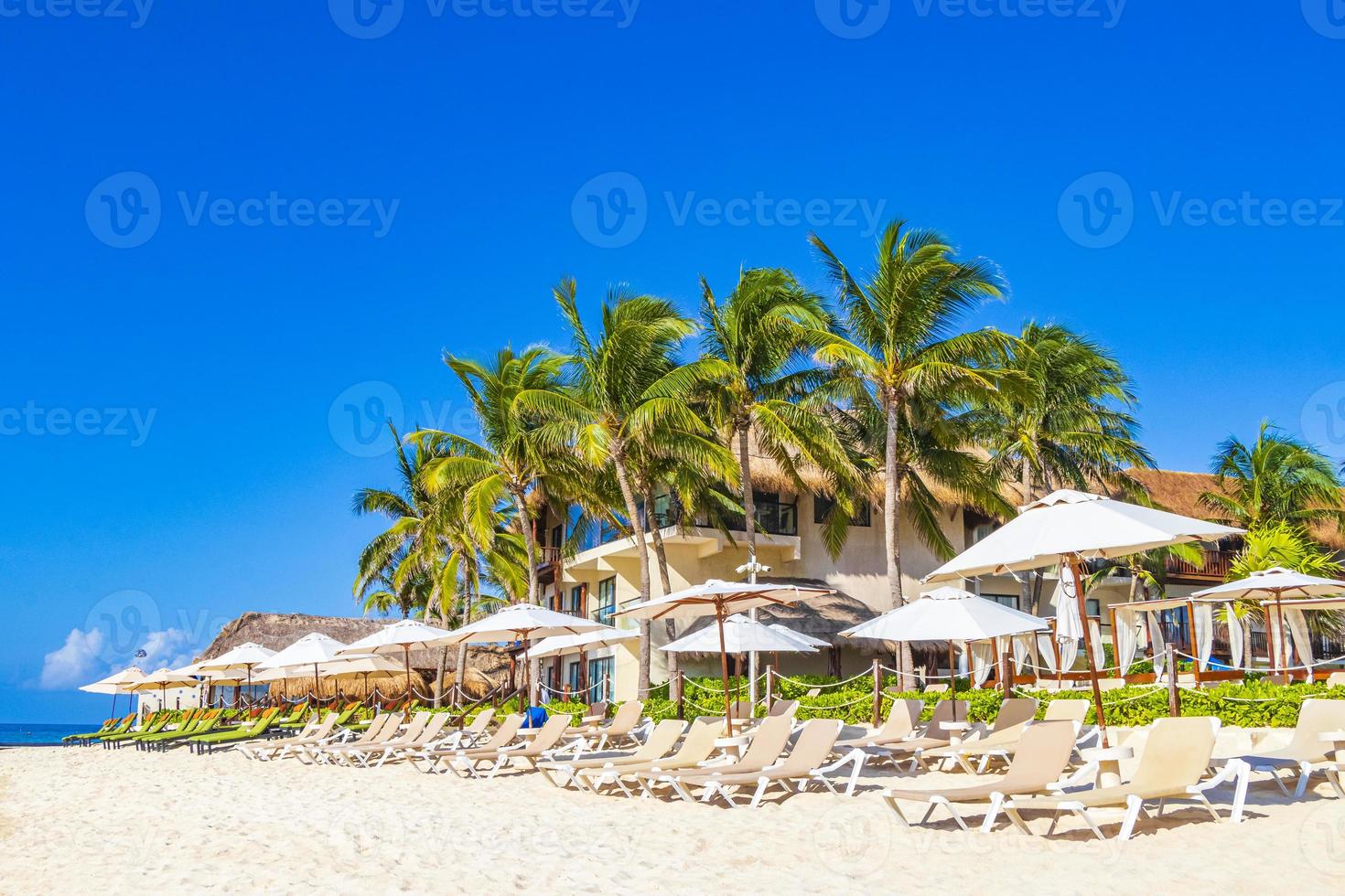 palmeiras guarda-sóis espreguiçadeiras resort na praia de playa del carmen, méxico. foto