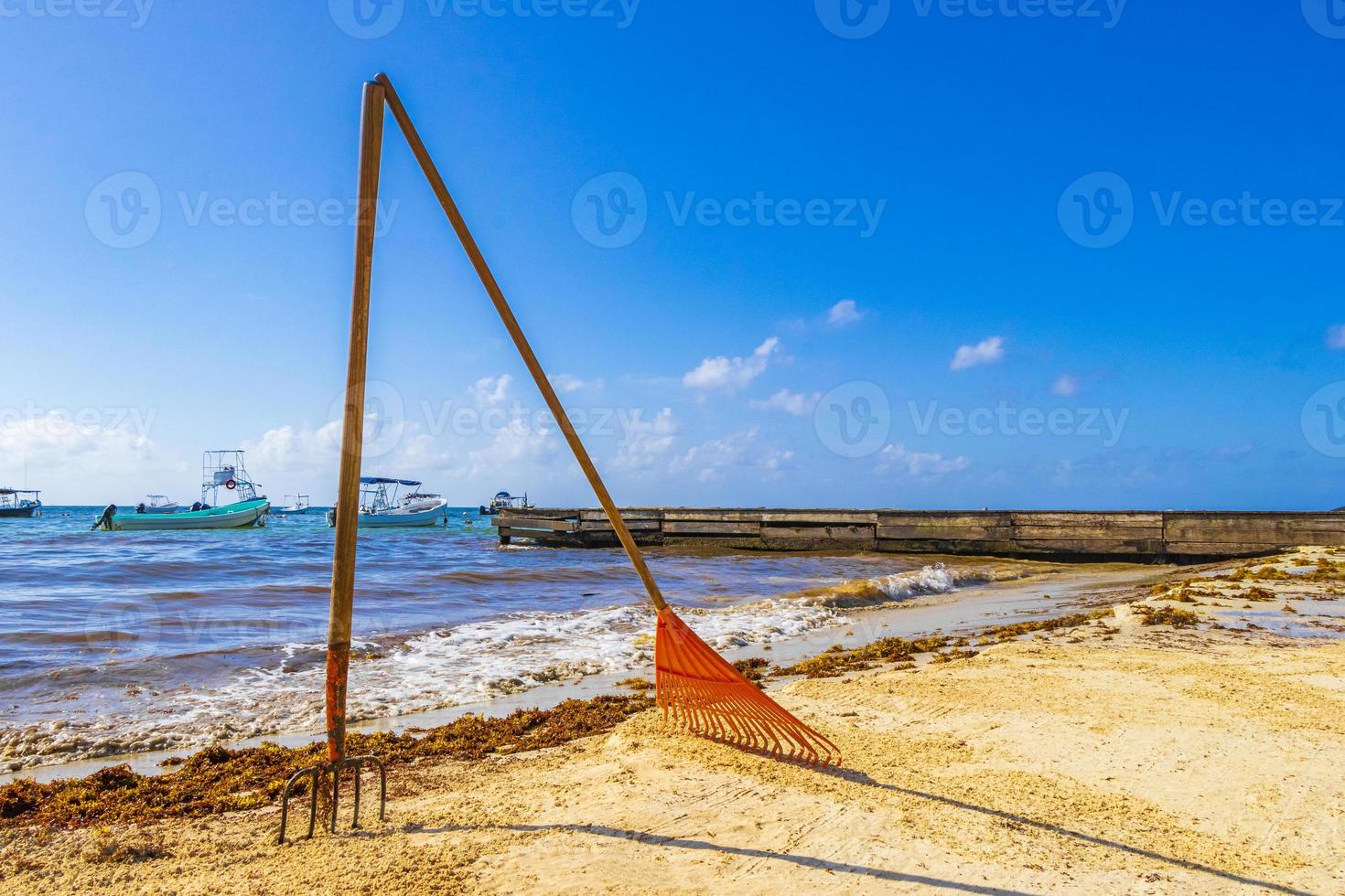 pitchfork ancinho vassoura alga sargazo praia playa del carmen méxico. foto