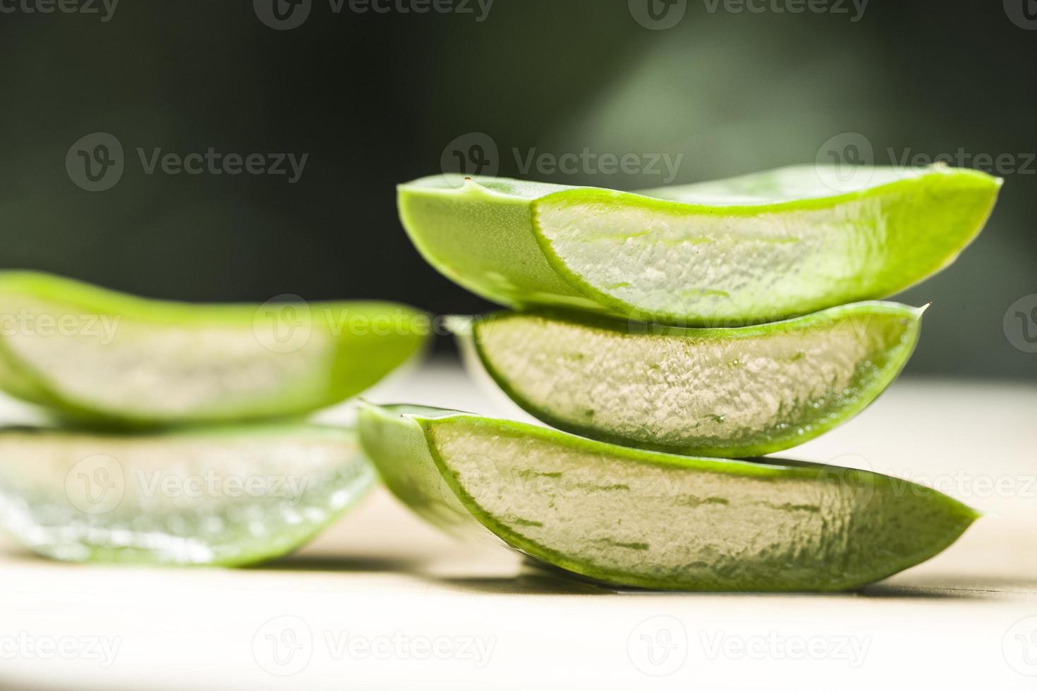 aloe vera fresco foto