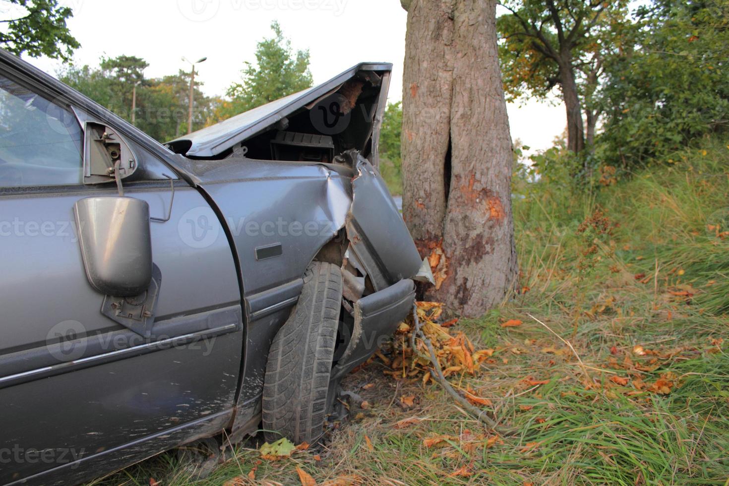 carro destruído em um acidente com árvore foto