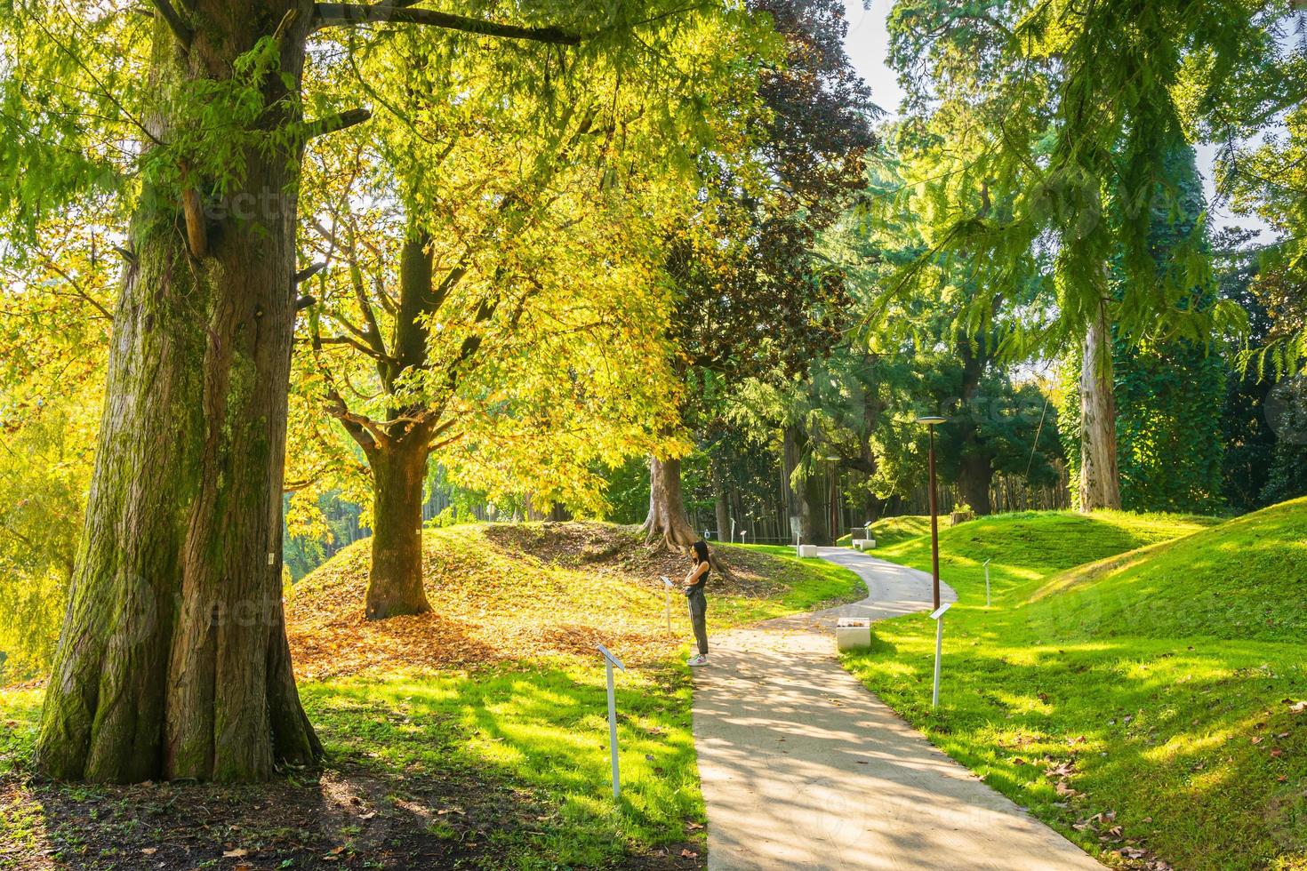 parque dendrológico batumi foto