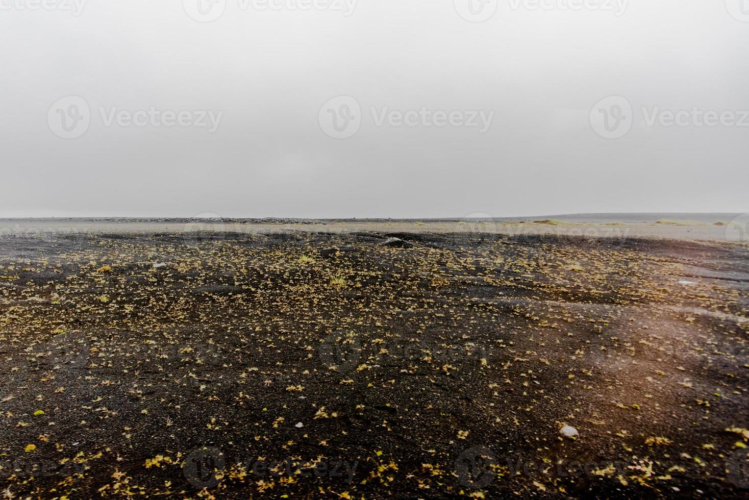 2021 08 14 askja lava fields.jpg foto