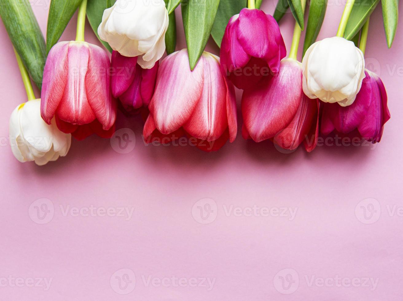 lindo buquê de tulipas foto