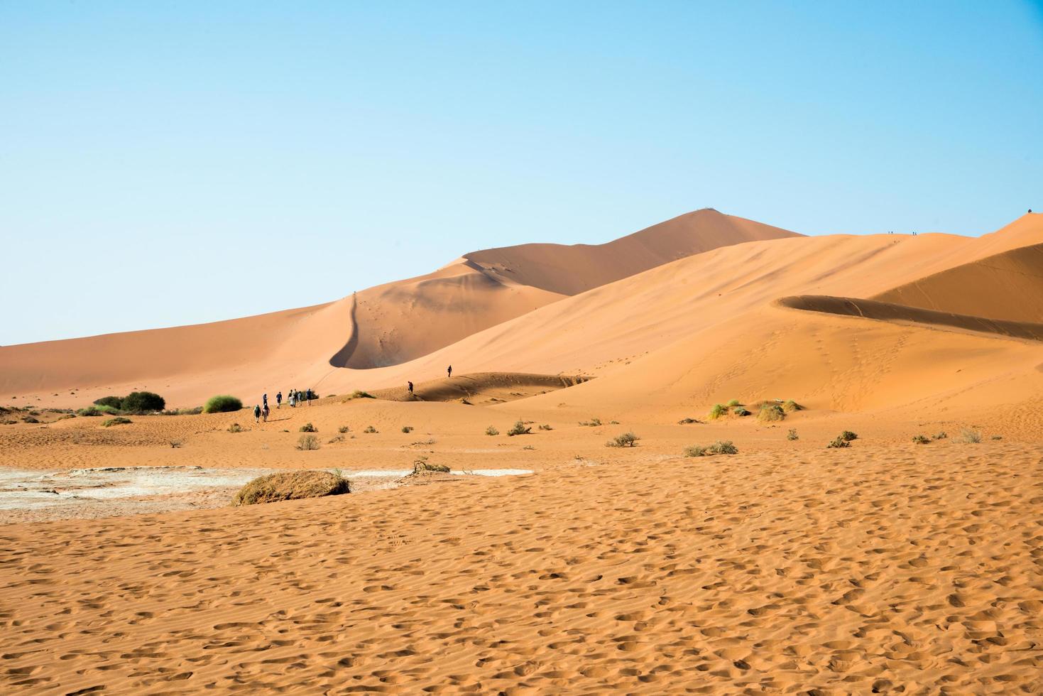 paisagem do deserto. dunas de areia e grupo de pessoas vistas de costas caminhando sobre uma duna. namibia foto