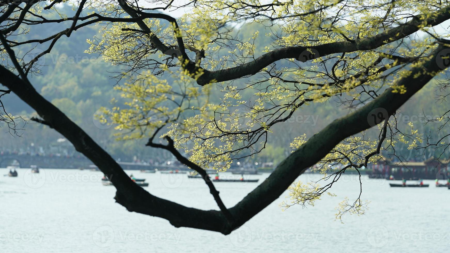 as belas paisagens do lago na cidade de Hangzhou, na China, na primavera, com o lago tranquilo e as montanhas verdes frescas foto