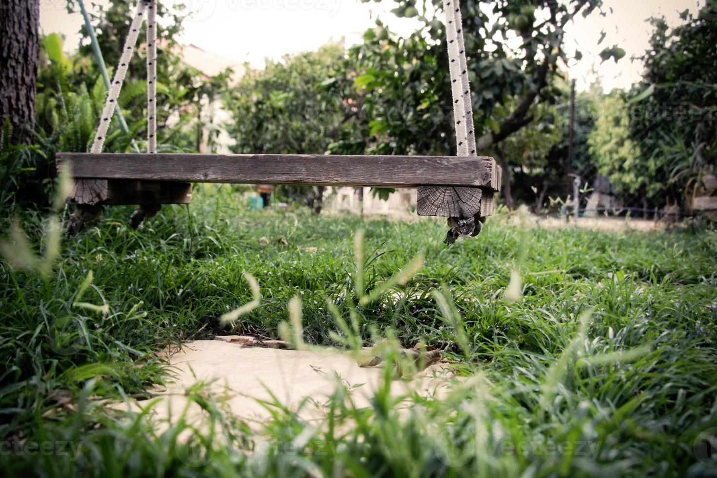 Antigo balanço de madeira vintage pendurado em uma grande árvore no jardim com fundo de grama verde foto