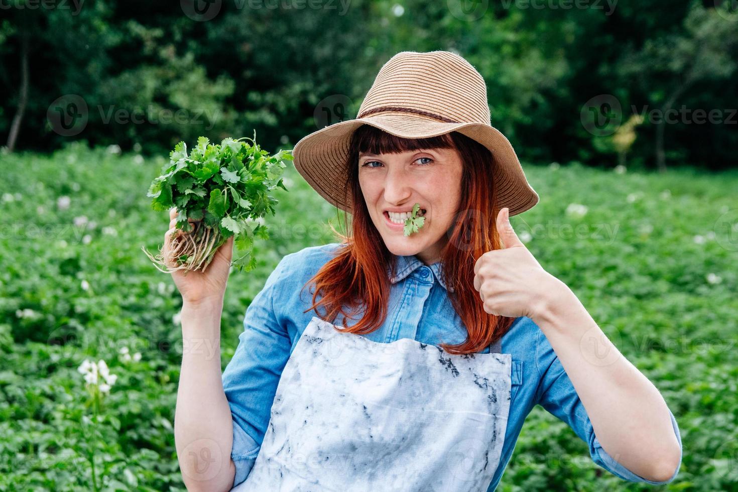 agricultora segura um ramo de salsa com um chapéu de palha e rodeada por muitas plantas em sua horta foto