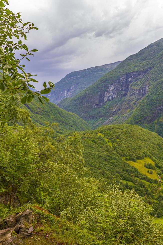 paisagem de terras agrícolas do rio utla de paisagens norueguesas de utladalen noruega. foto