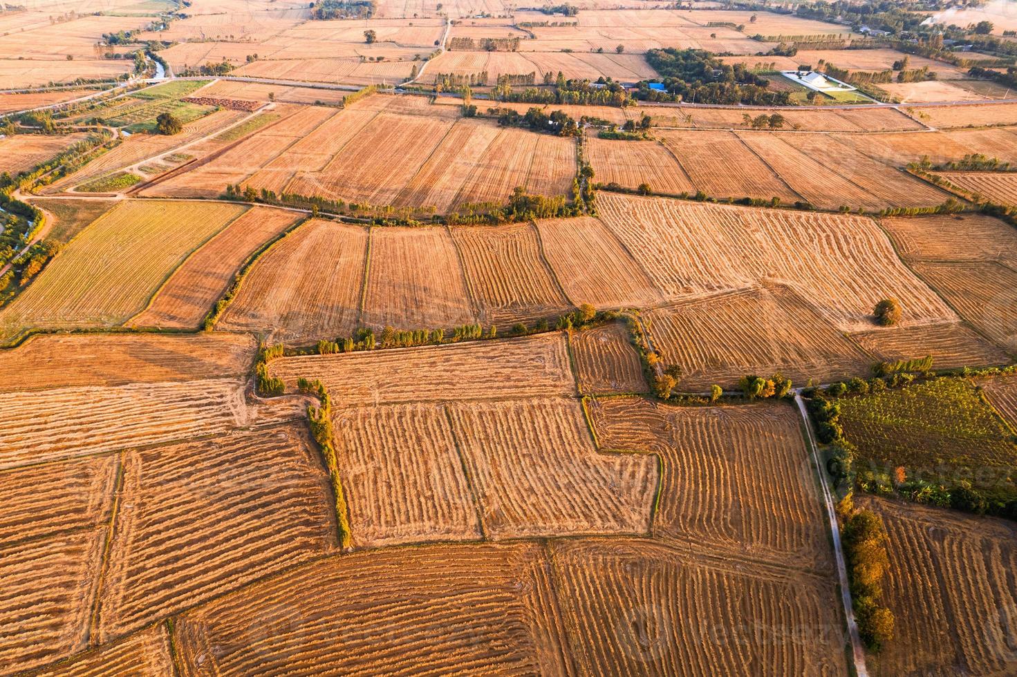 campos agrícolas estéreis com canal de irrigação em fazendas na zona rural foto