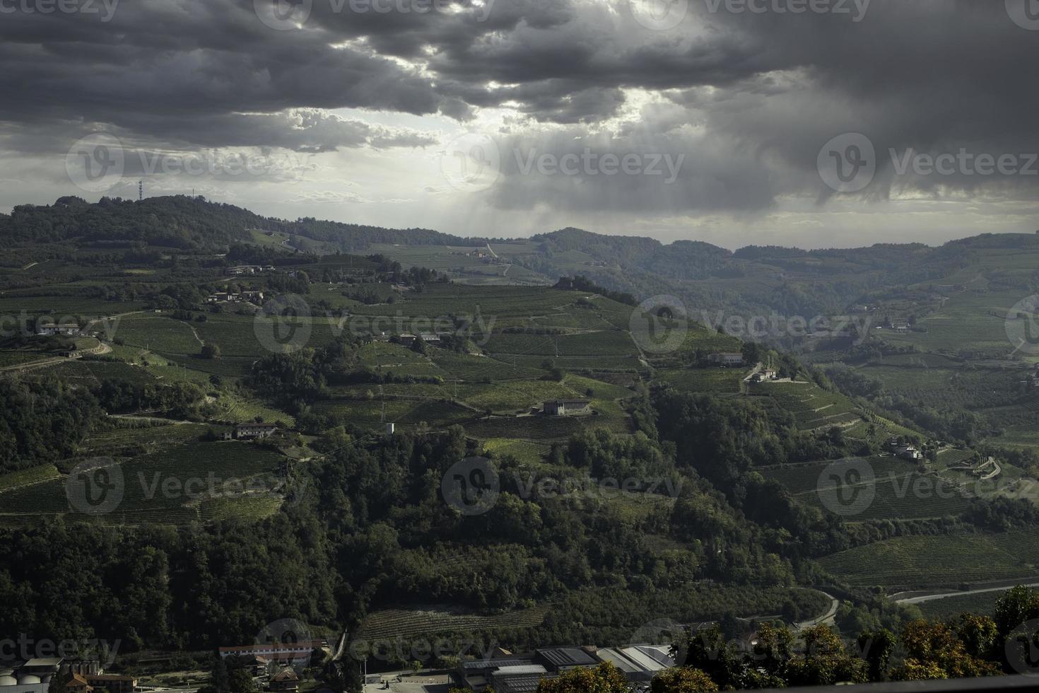 as colinas cheias de vinhedos de santo stefano belbo, a região do vinho moscatel no Piemonte, imediatamente após a colheita no outono foto