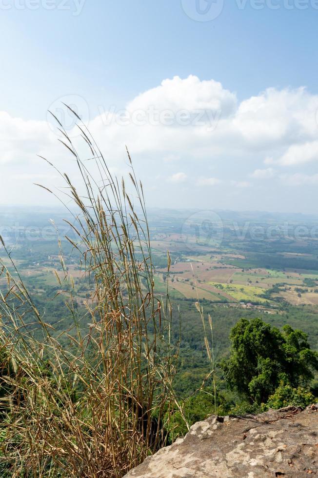 a paisagem montanhosa parece muito acima do solo, com campos de arroz. foto