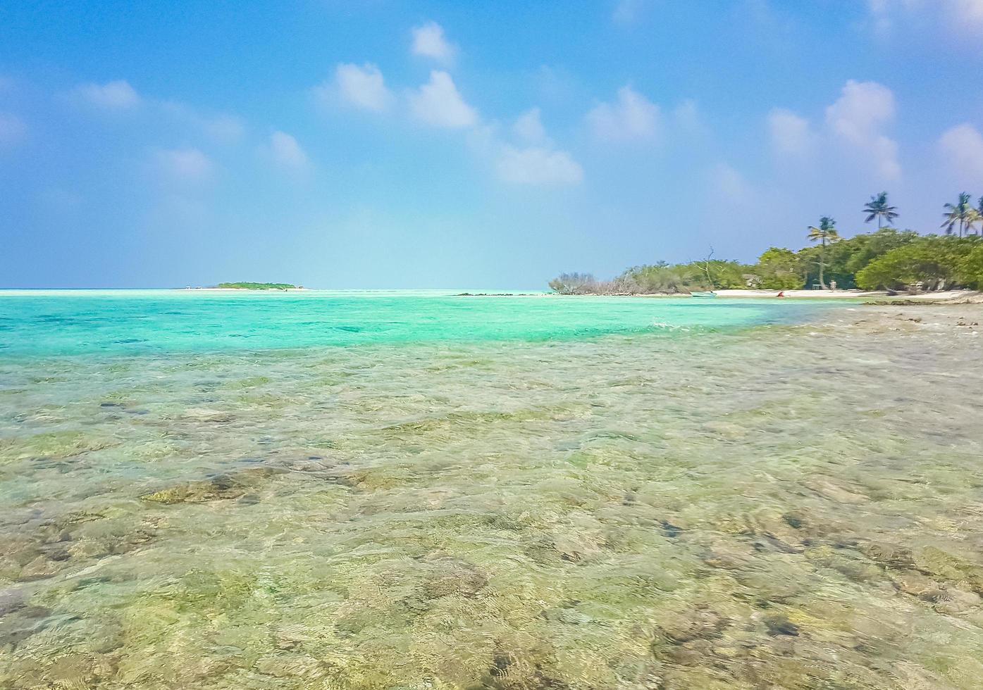 natural tropical turquesa ilhas de restinga madivaru finolhu rasdhoo atol maldivas. foto