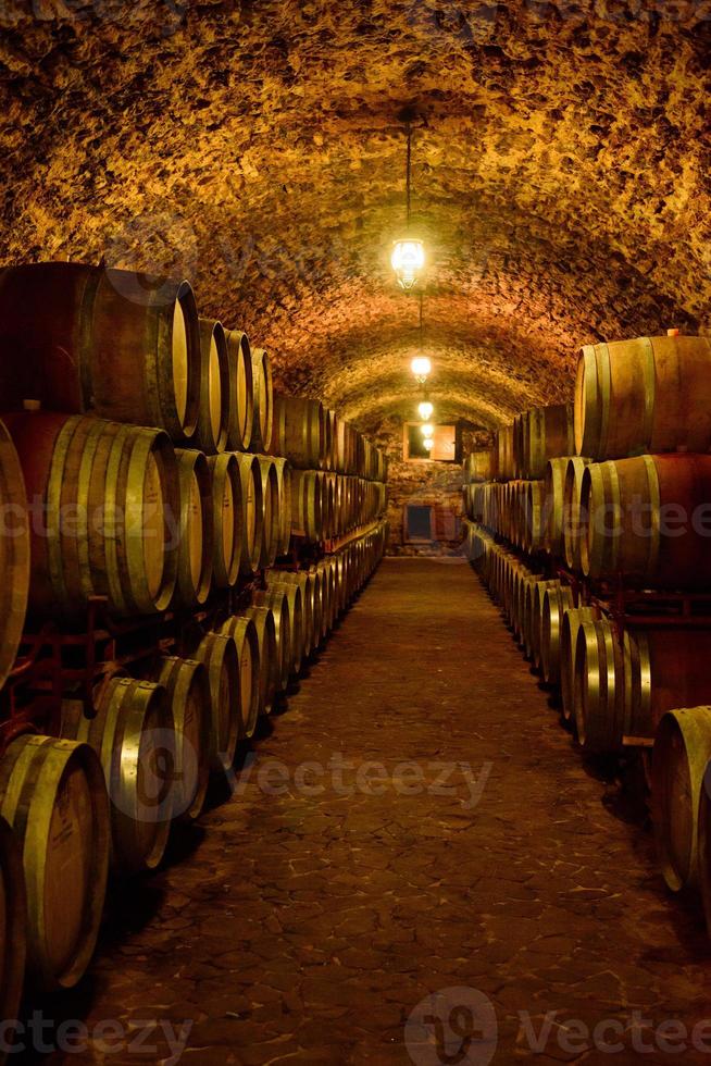 barris de vinho em adegas em ordem. garrafa de vinho e barris foto