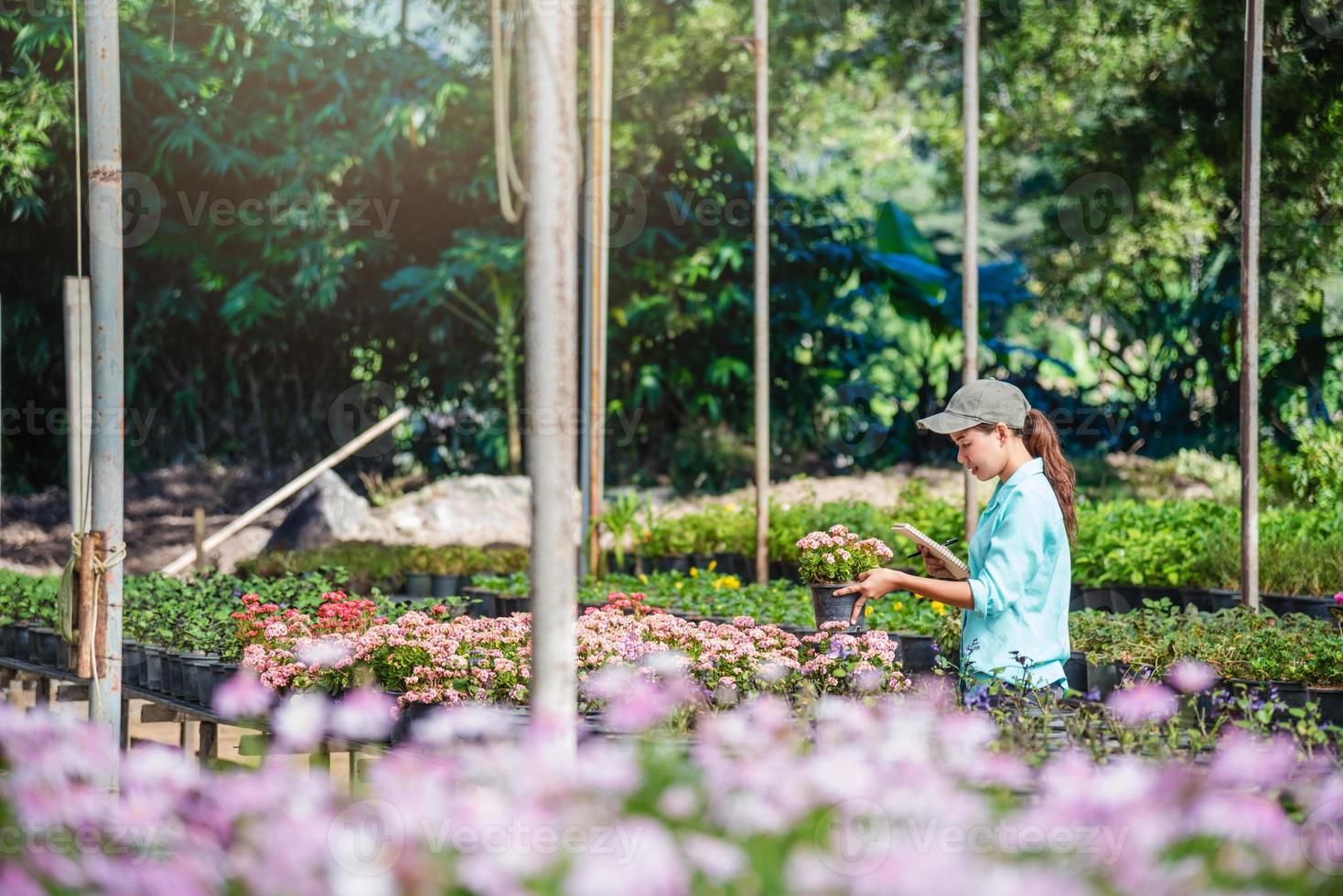 moças que trabalham no jardim de flores estudam e escrevem registros das mudanças das árvores floridas. fundo de jardim de flores foto