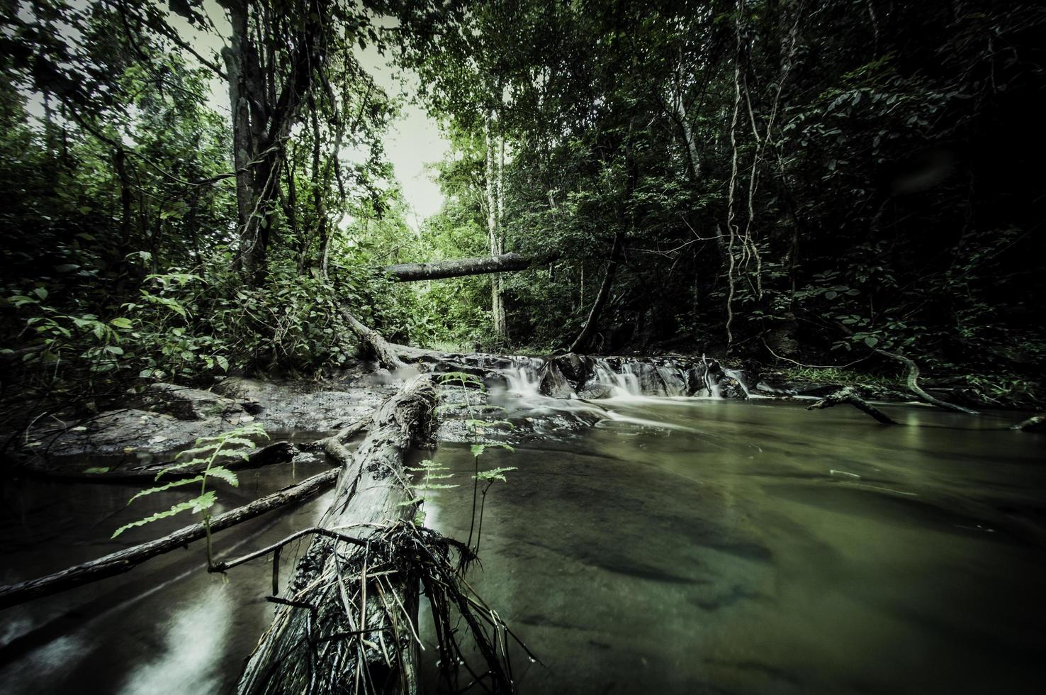 uma bela cachoeira fotografada com uma exposição lenta foto