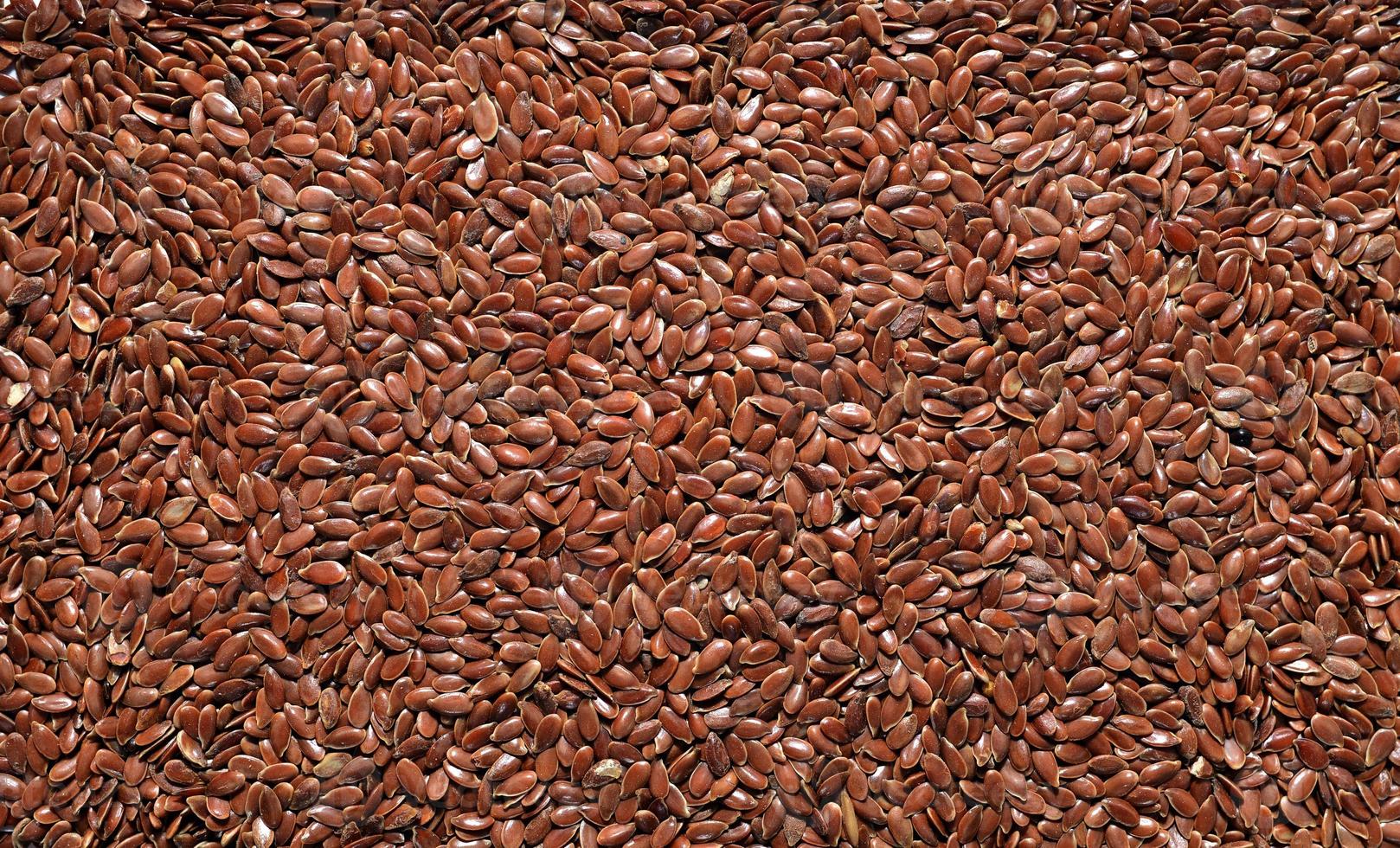 textura de semente de linho foto