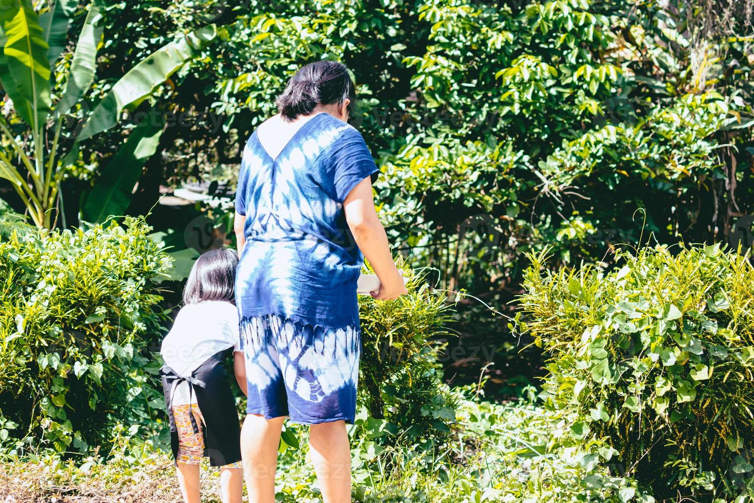 vista traseira traseira da família estava aprendendo árvore frondosa em pé. menina criança de 4 anos de idade e a mãe dela ficam à tarde observando a natureza. foto
