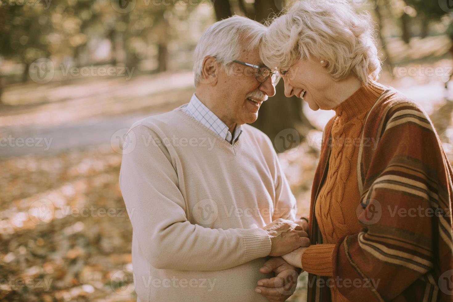 casal sênior se abraçando no parque outono foto