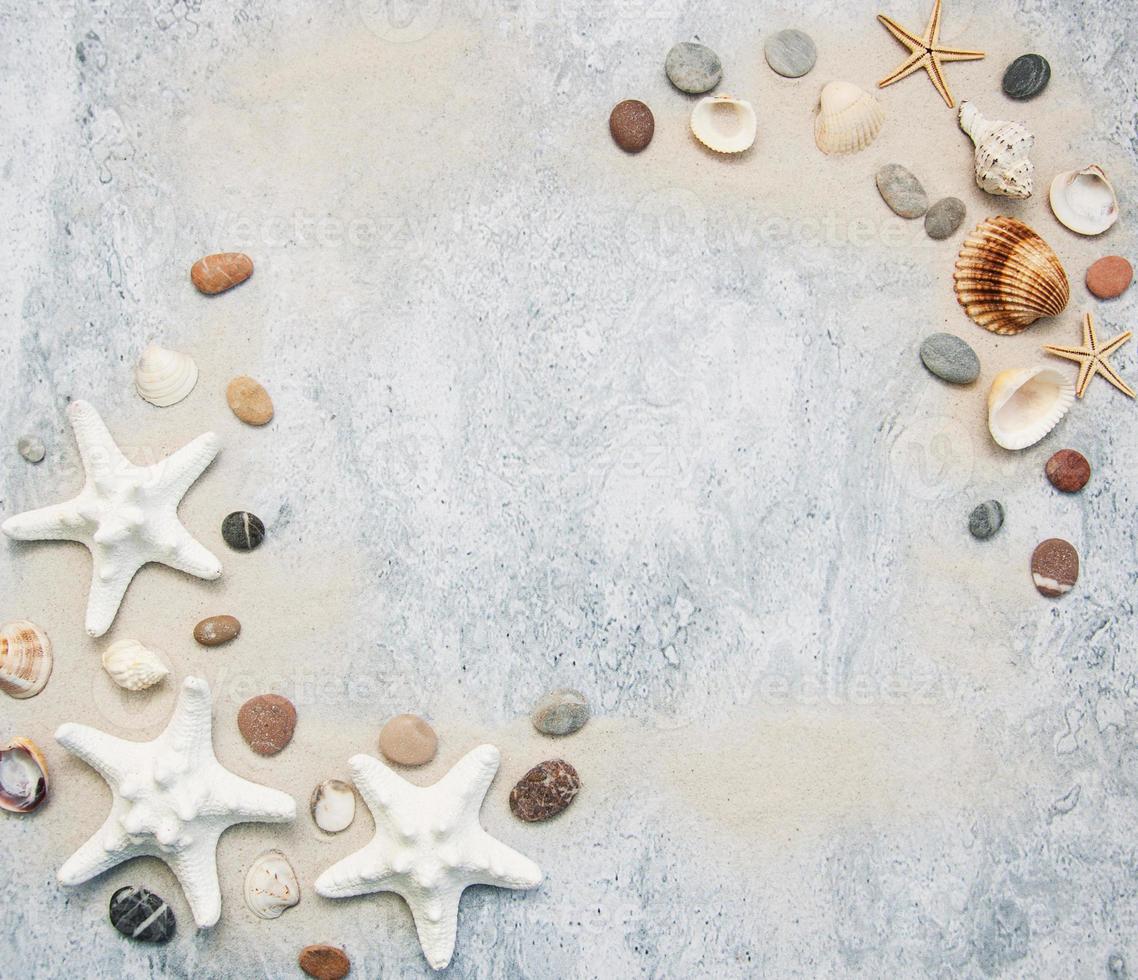 borda de conchas e estrelas do mar foto